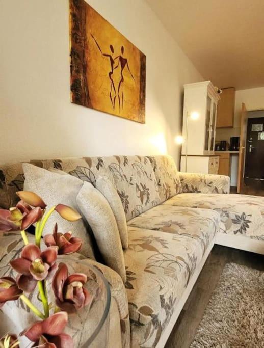 Appartement Rotkaeppchen Winterberg